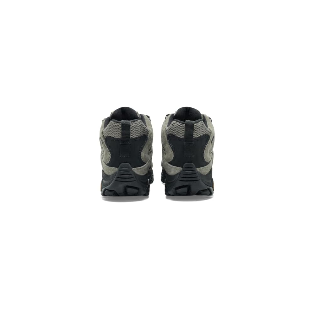 Talus/Black