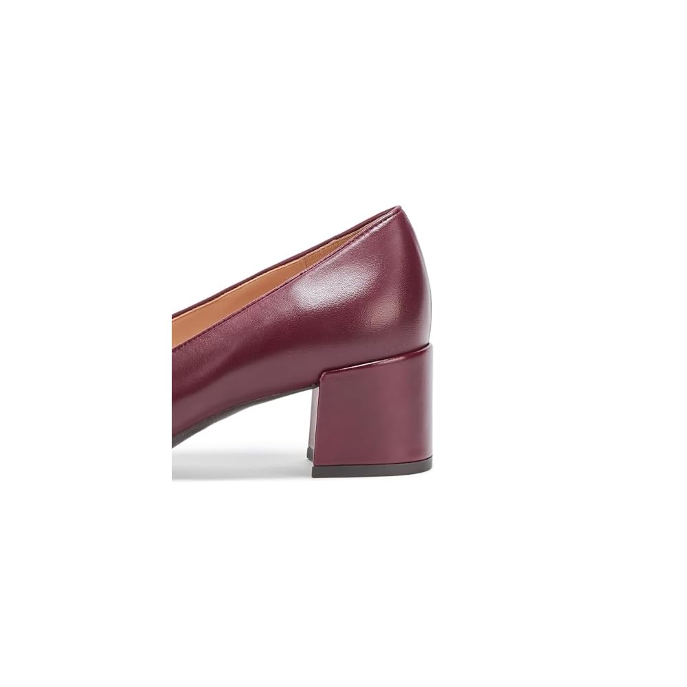Ch Black Garnet Ltr