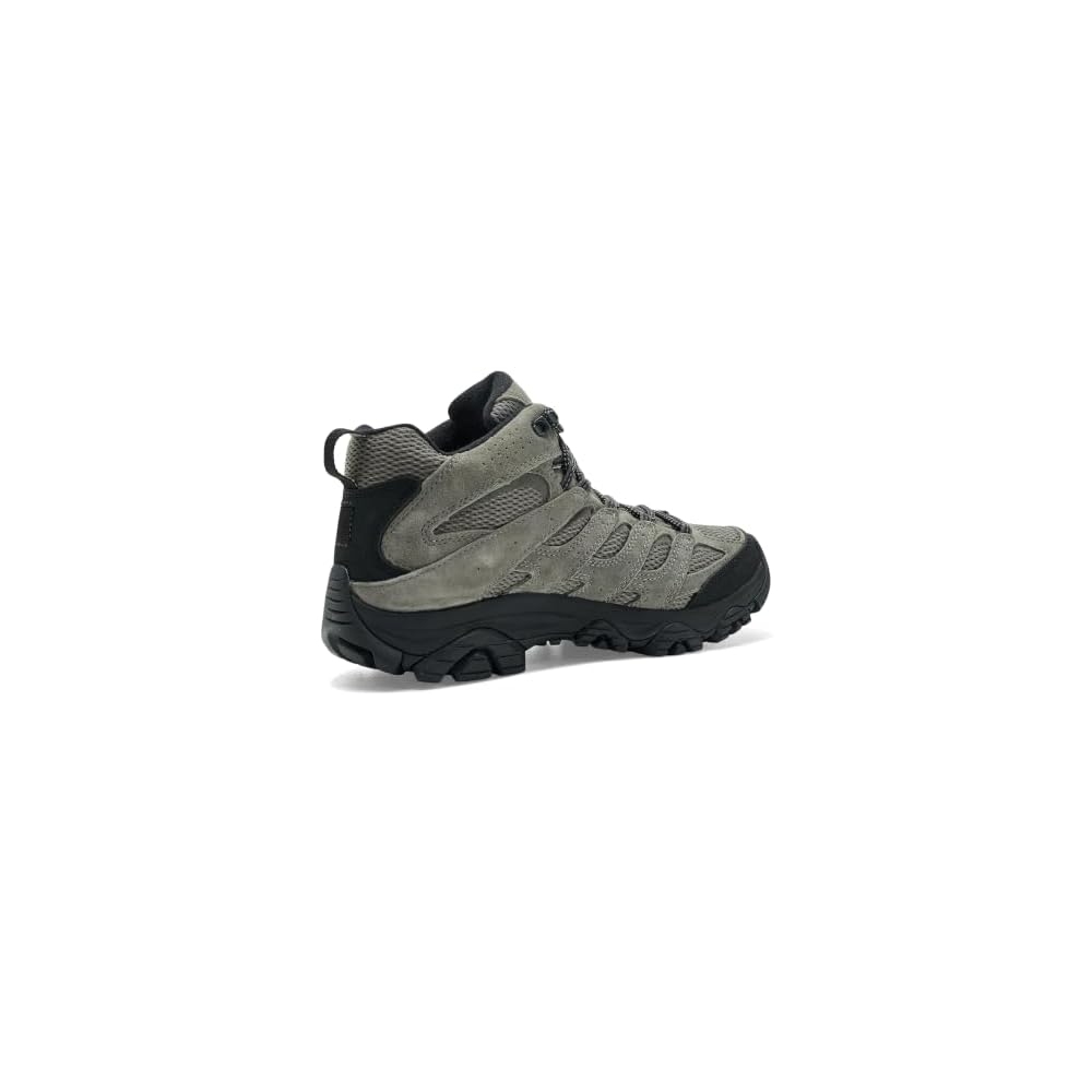 Talus/Black