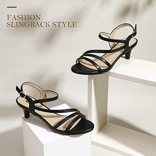 Black Pu