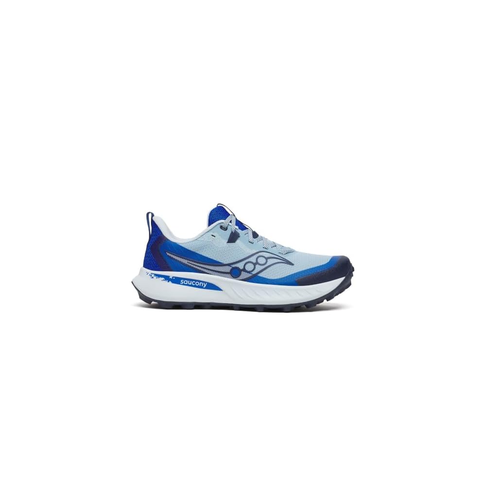 Dream/Skydiver