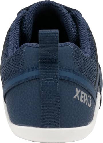 Insignia Blue