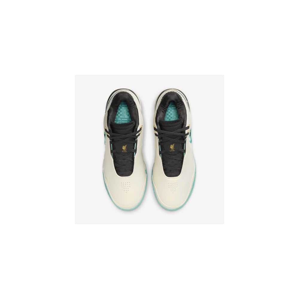 Light Orewood Brown/Washed Teal/Metallic Gold