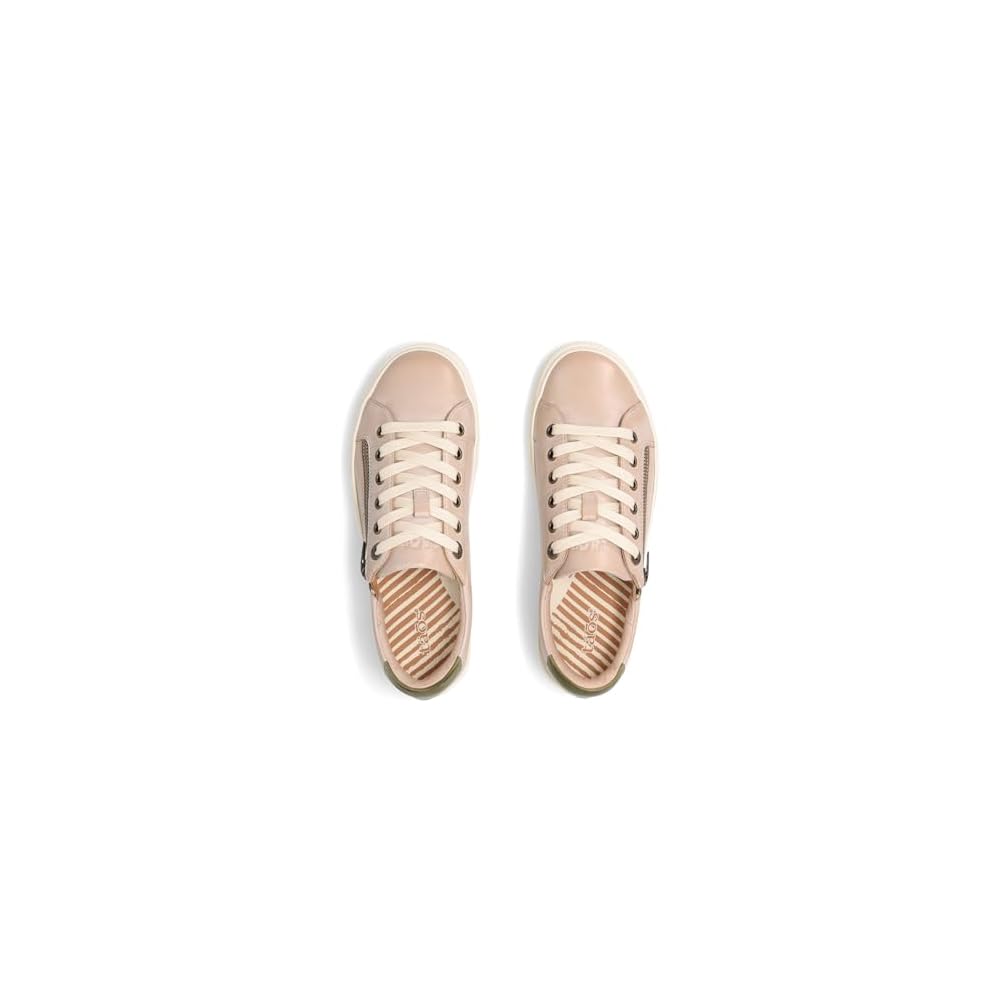 Oyster/Olive