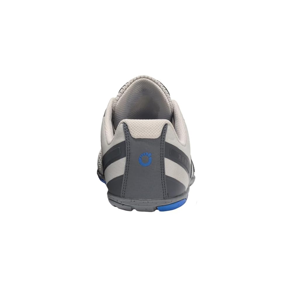 Light Gray/Blue Iolite