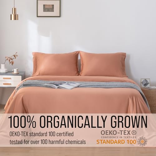 20 - Terracotta