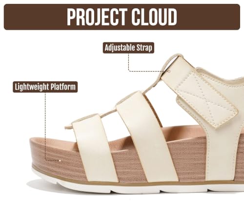 Phased - Cloud
