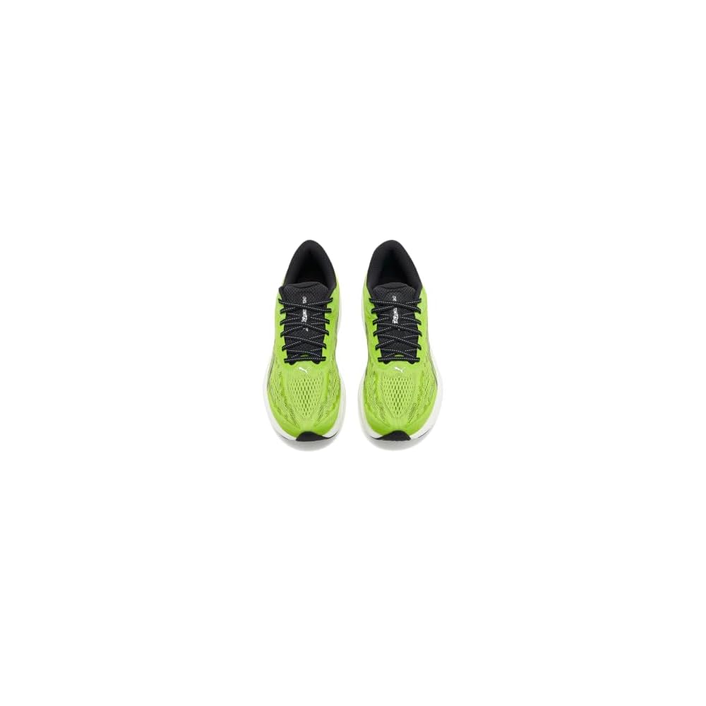 Sunny Lime-moody Gray