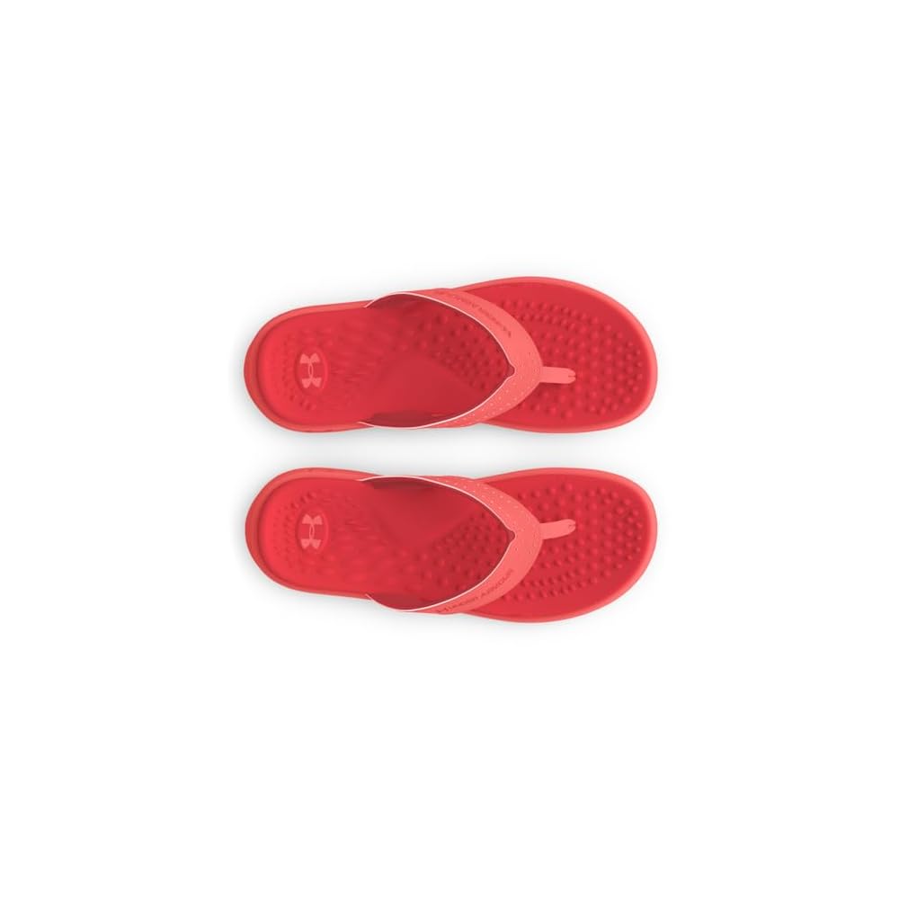 (602) Coho/Coho/Red Solstice
