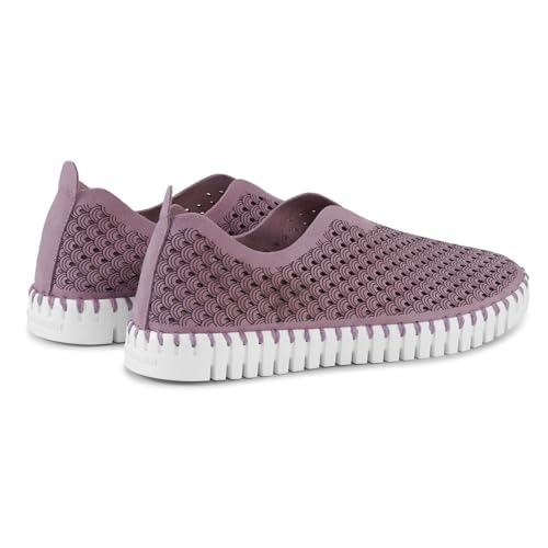 Mauve Shadows/White