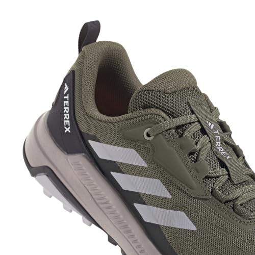 Olive Strata/Silver Dawn/Amber Tint