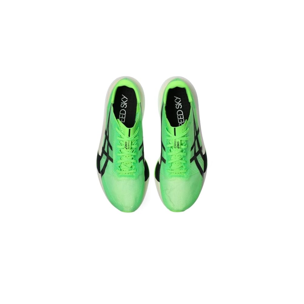 Green Gecko/Black