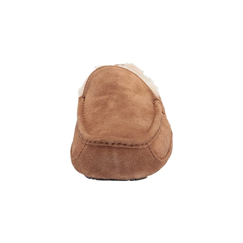 Chestnut