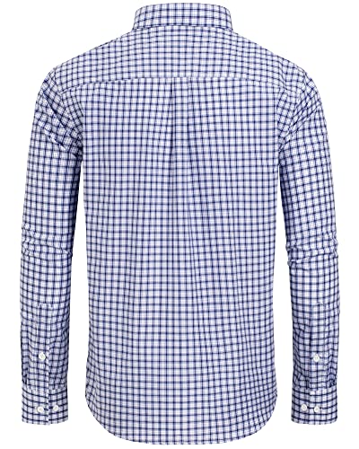 Blue, Gingham
