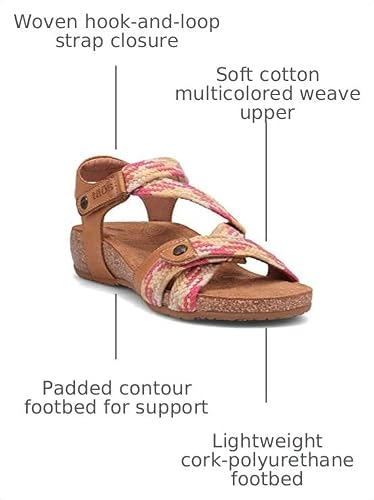 Camel Multi