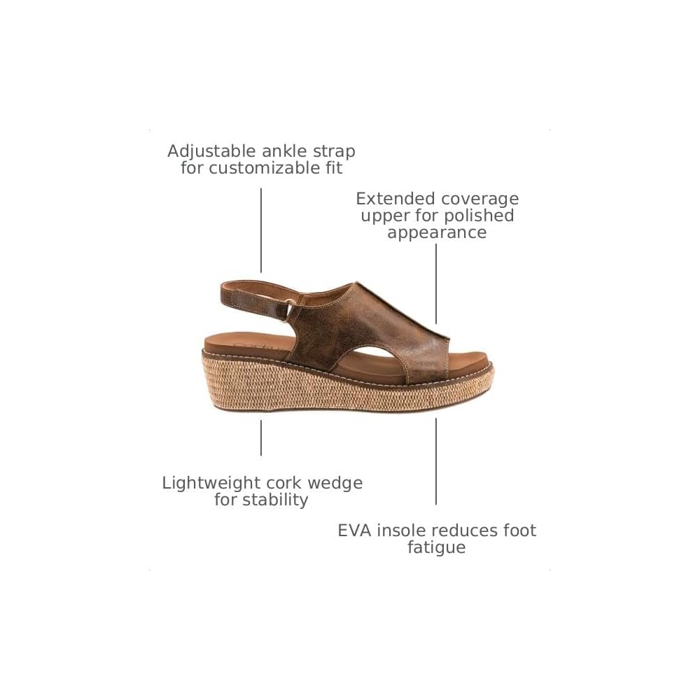 Chestnut 2