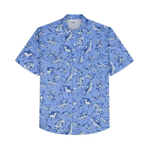 Cornflower Blue