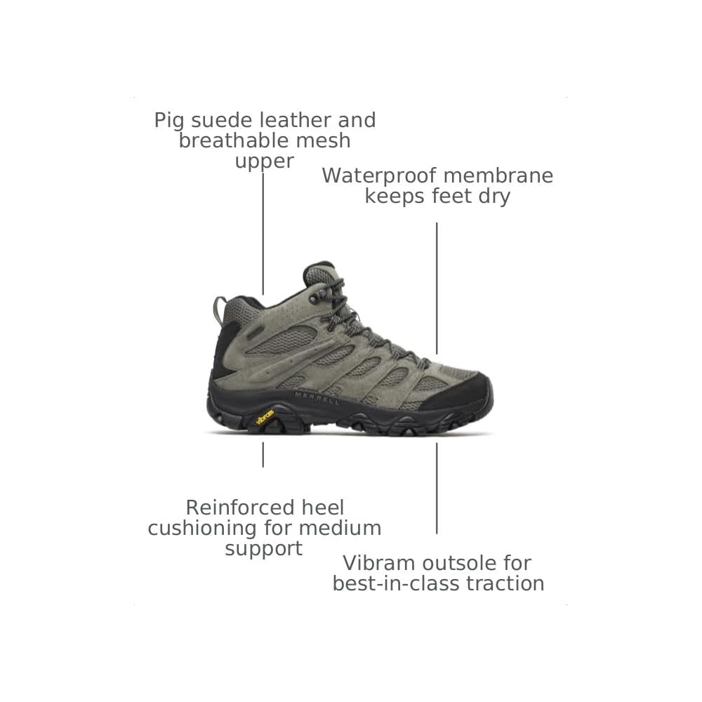 Talus/Black