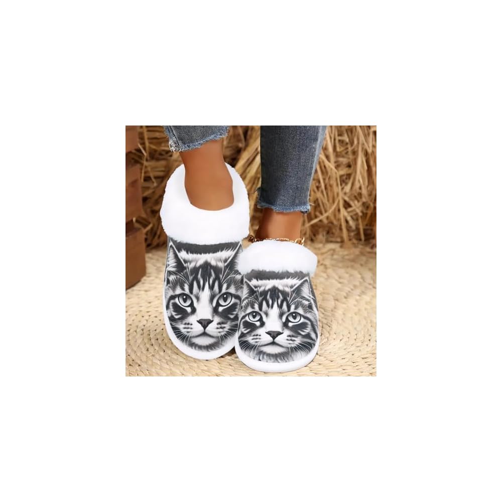 Cat 01