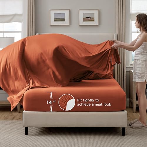16 - Burnt Orange