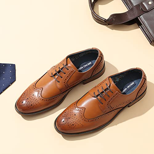 Brown-wingtip