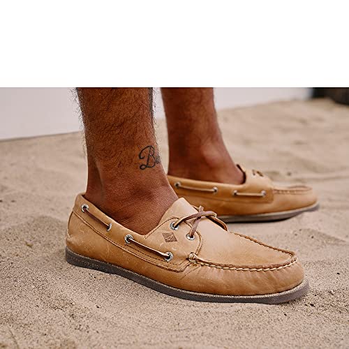 Sahara