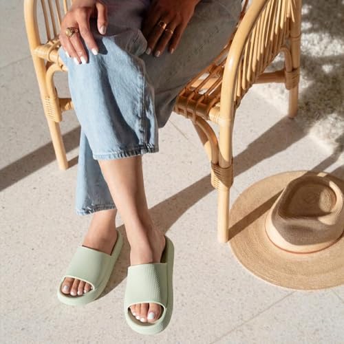 Aloe