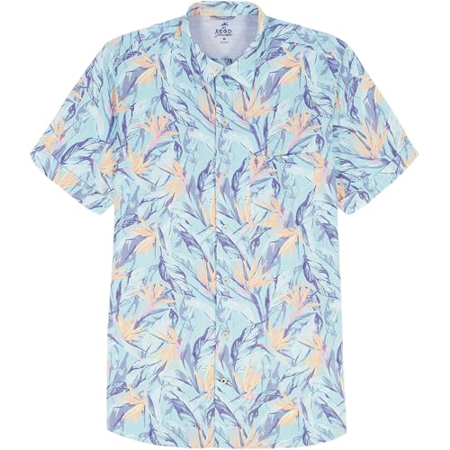 Bachelor Button Tropical