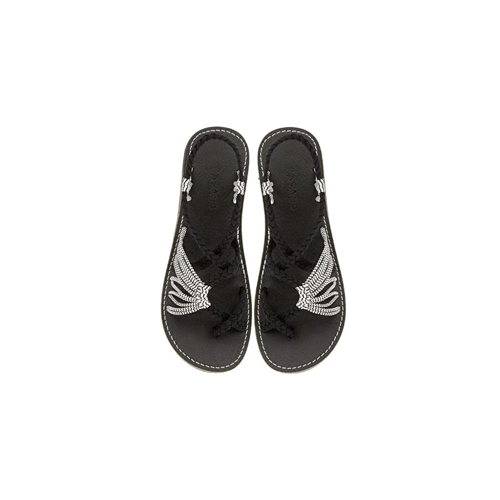 Black Zebra