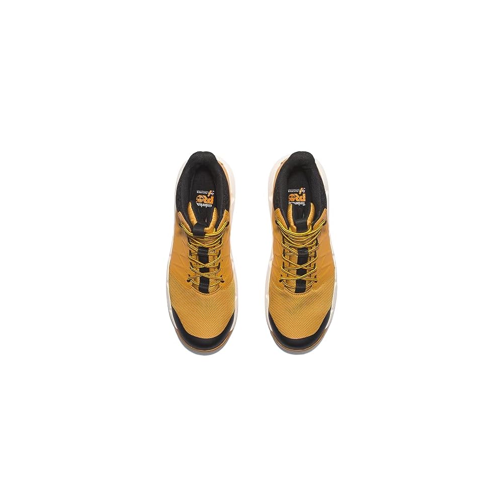 Wheat-2024 New