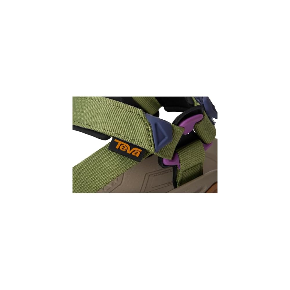 Iguana