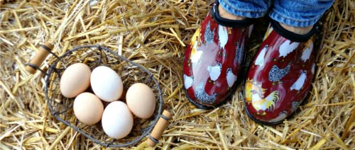 Chicken Print Barn Red