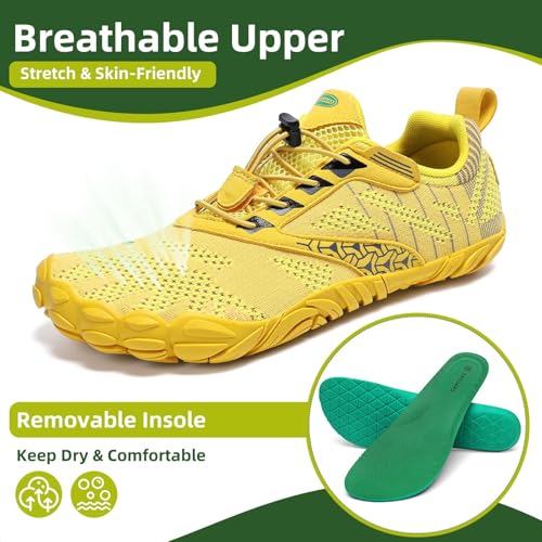 Maize Yellow-55w
