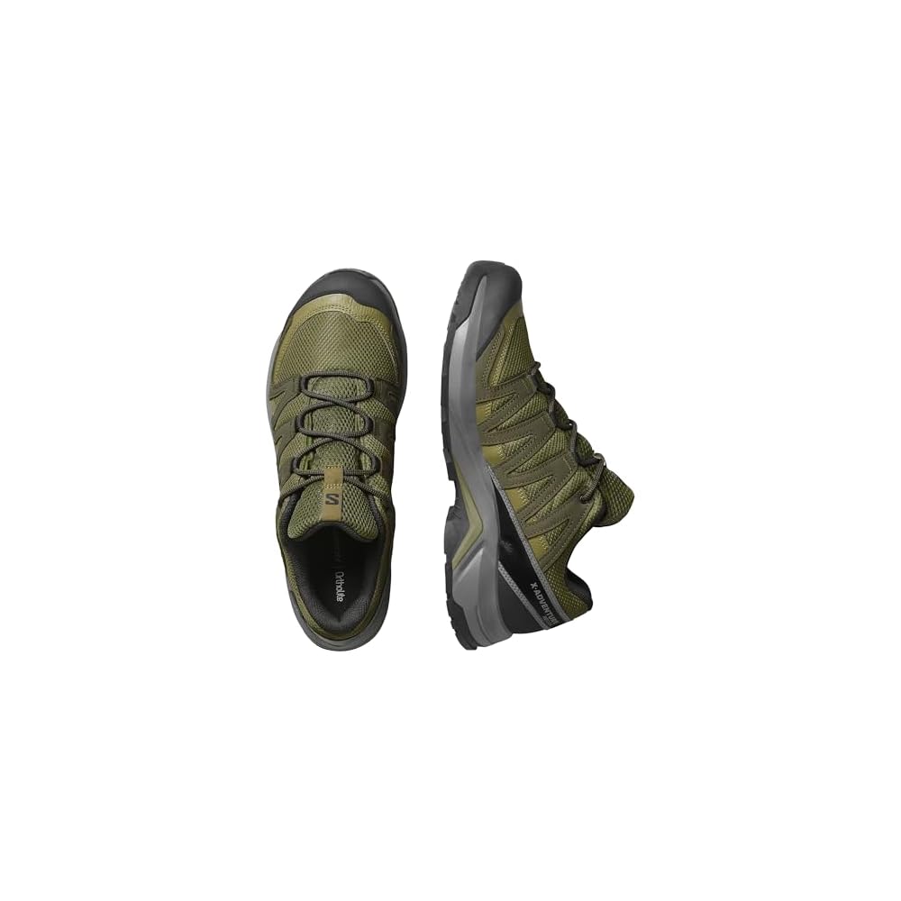 Olive Night/Martini Olive/Pewter