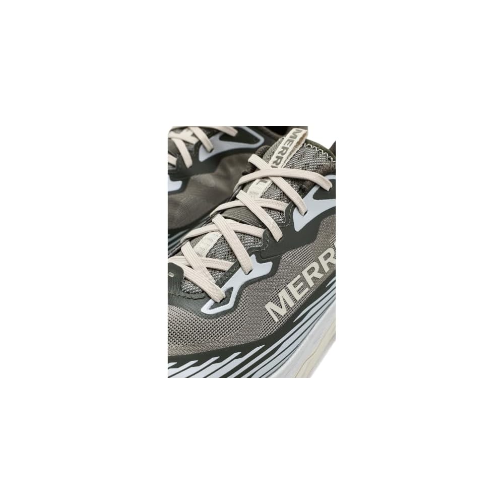 Talus