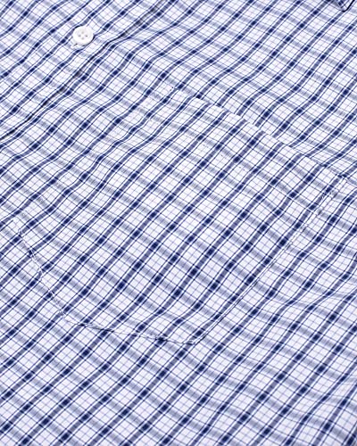 Blue, Gingham