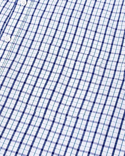 Blue Navy, Small Plaid