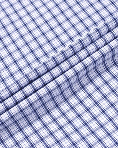 Blue, Gingham