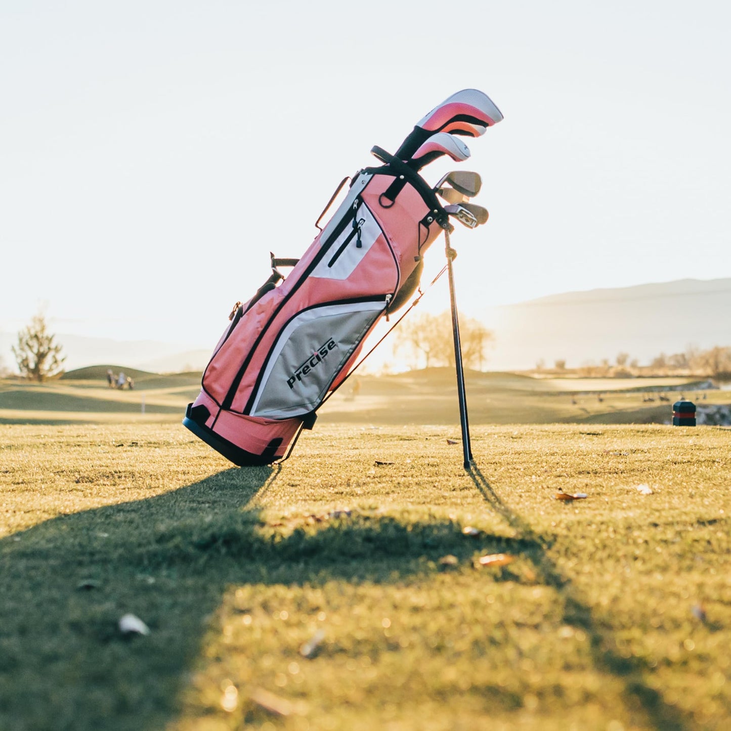 Precise M5 Womens Golf Clubs Full Set, Titanium Driver, S.S. Fairway, S.S. Hybrid, S.S. 5-PW Irons, Putter, Stand Bag, 3 H/C's, Golf Clubs Women Right Handed, Pink (Pink, Right Hand Tall Size)