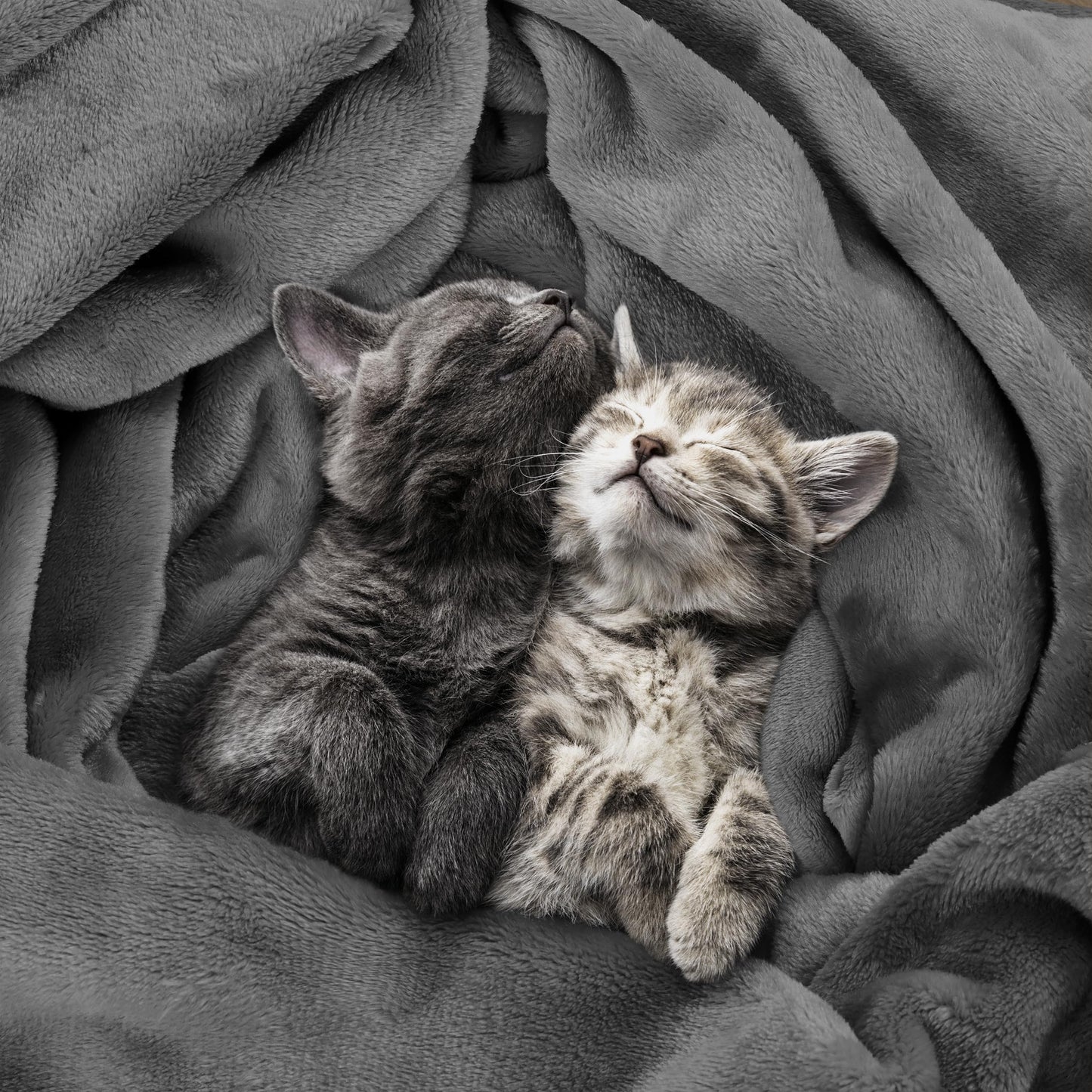 Utopia Bedding Fleece Blanket Twin XL Size Grey 300GSM Luxury Anti-Static Fuzzy Soft Microfiber Dorm Bed Blanket (90x76 Inch)