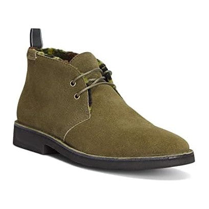 Canopy Olive