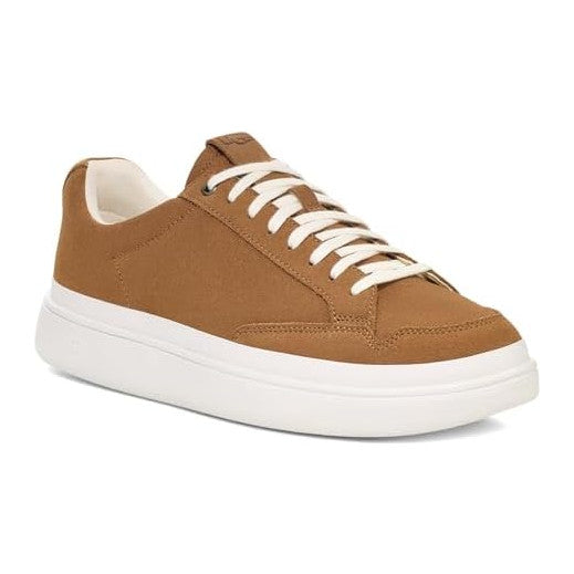 Chestnut