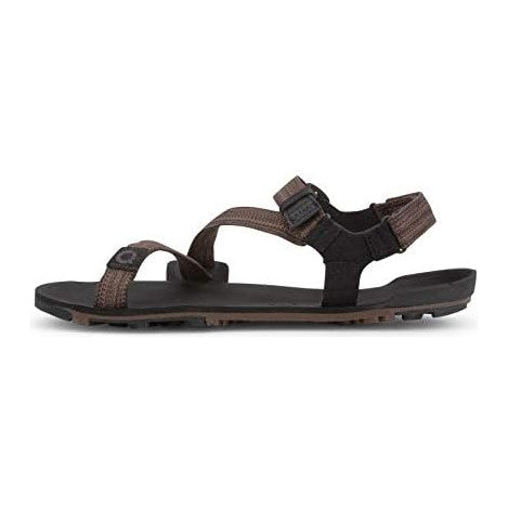 Multi-brown