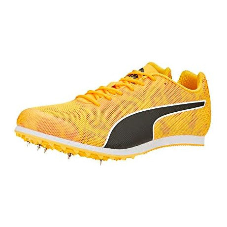 Sun Stream-sunset Glow-puma Black